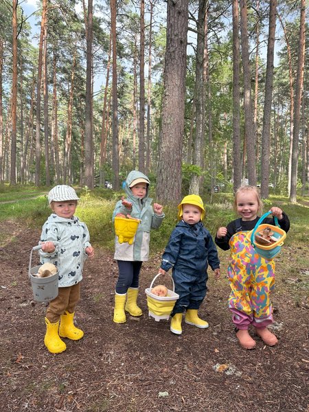 Lastel oli seenemetsast avastada iga päev midagi uut,