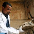 ФОТО: В Египте нашли гробницу с 50 мумиями животных
