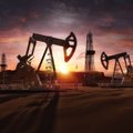Saudi Araabia investeeris Ukraina sõja alguses Vene energiafirmadesse ligi 500 miljonit eurot