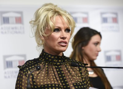 Pamela Anderson at the National Assembly in Paris
