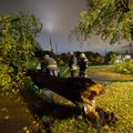 Keeristormi tagajärjel on Tallinnas kukkunud puid, trammi- ja elektriliine