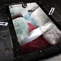 ФОТО | Полиция задержала в Нарве грузовик, перевозивший наркотики