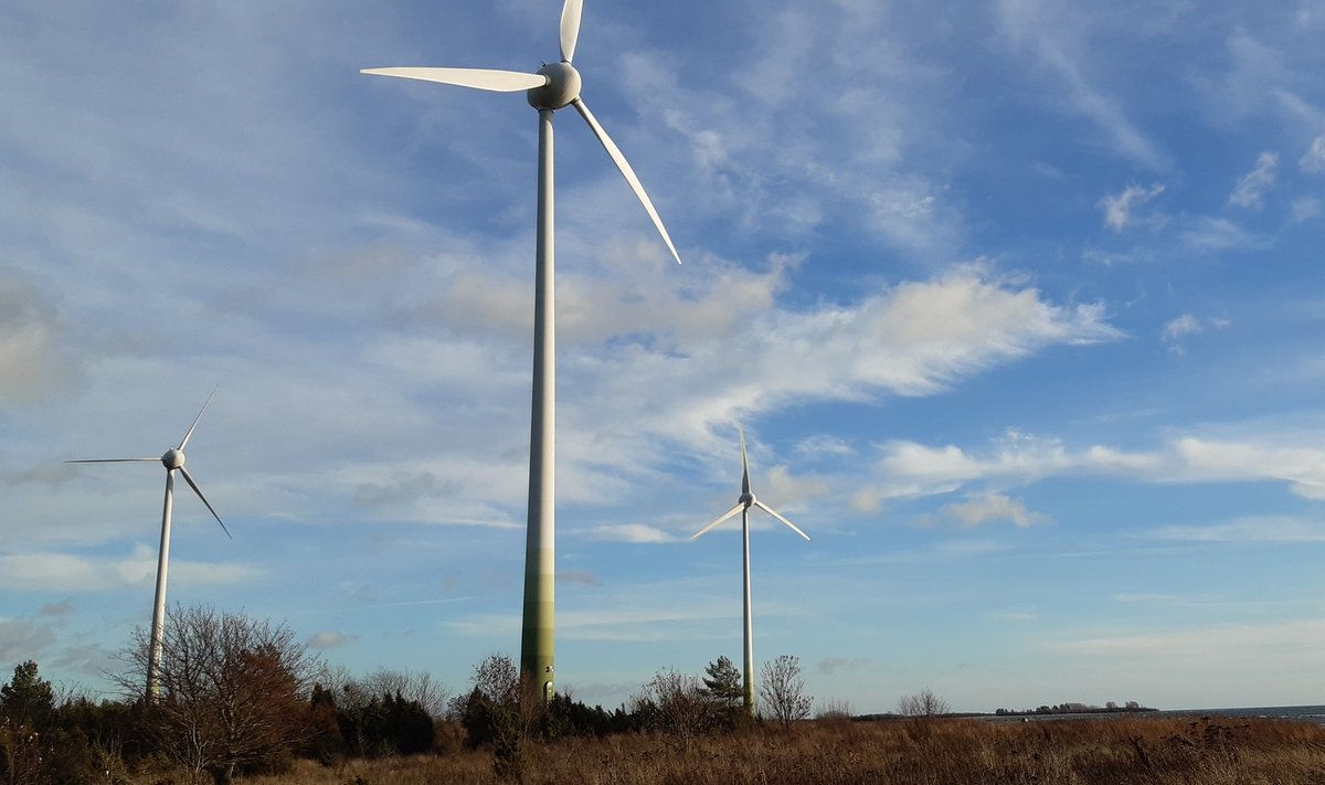 Eesti Tuuleenergia Assotsiatsiooni andmetel on meil praegu 145 elektrituulikut. Euroopa Liit soovib tuuleparkide püstitamist mitmekordselt kiirendada, kuid lähiajal seisame probleemi ees, mis saab oma elukaare lõppu jõudnud tuulikutest edasi.