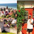 ФОТО | На пароме из Таллинна на курорт в Балтийском море! Висбю — сказочный островной городок c захватывающими видами и вкусным мороженым