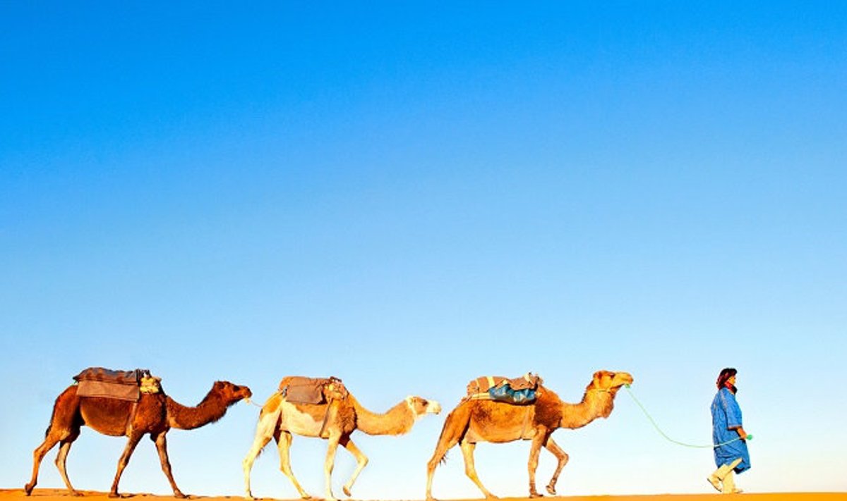 Reisidiilide pakkumised viivad Marokosse!