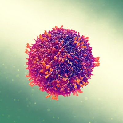 VIIRUS: Leetrid levivad viirusega ning haigust saab vältida vaktsiiniga.