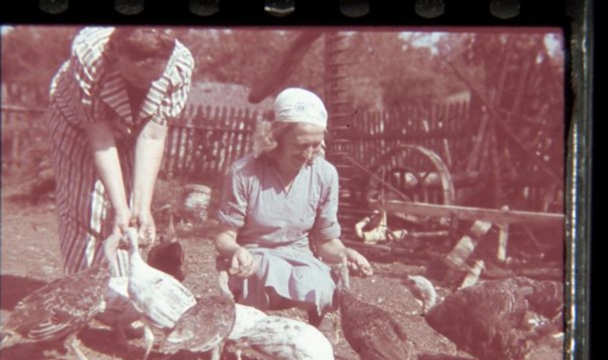 Kaks naist kalkuneid toitmas, 1939