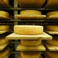 Juustumäed USAs. Euroopa on juustu ja võiga maailma üle ujutanud