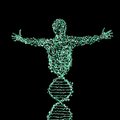 Lõpp lohakusvigadele sinu DNAs: geenikääride kasutamine inimese hüvanguks jätkub