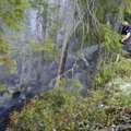 Kindlustused küsivad Stora Ensolt Rootsi metsapõlengu eest miljoneid