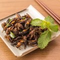 PIMETEST | Putukatest tehtud toit pole enam ulme! Selgitame välja, kas see ka maitseb hästi