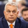 Orbán õnnitles Gruusia võimuparteid valimisvõidu puhul: Gruusiast ei saanud „teine ​​Ukraina“