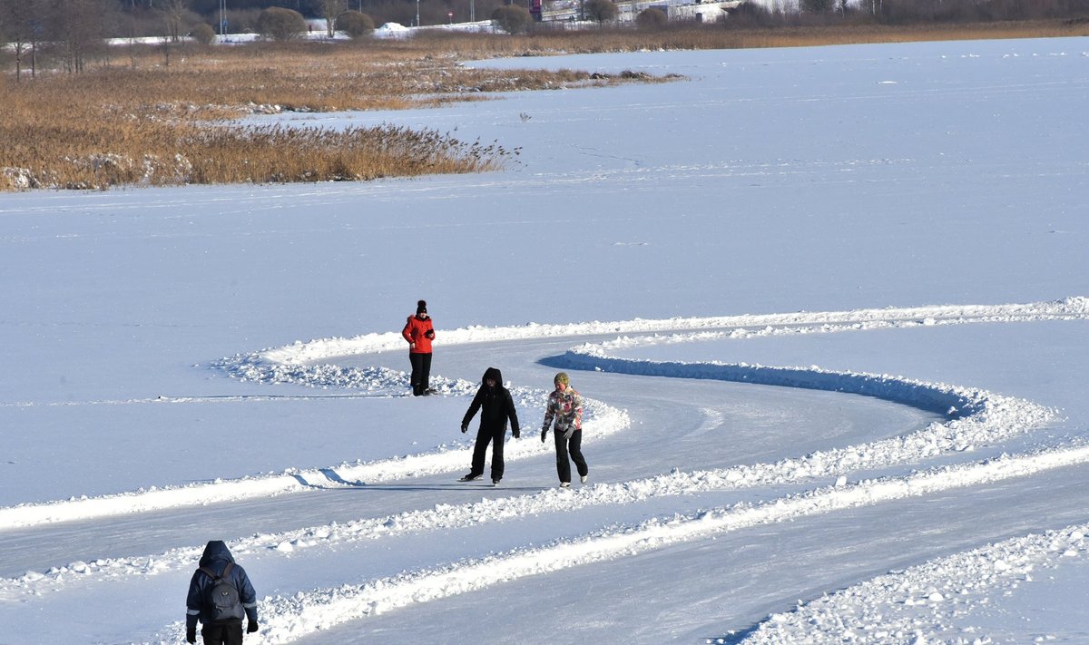 Lumerohke talv soodustas siseturismi: uisutajad Viljandi järvel