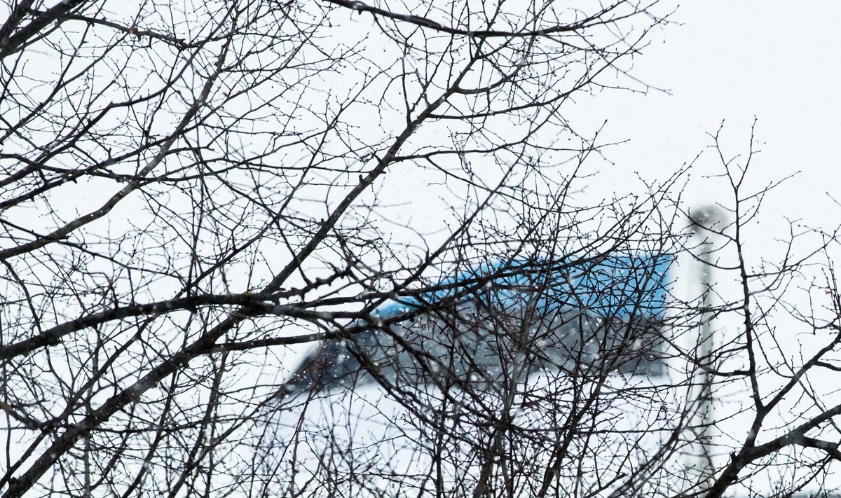 Pika Hermanni tornis heisati sinimustvalge lipp