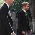 Принцы Гарри и Уильям отказались от совместной речи на открытии памятника матери