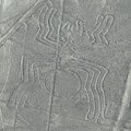 Nazca müstilised hiigeljoonistused moodustavad lausa labürindi
