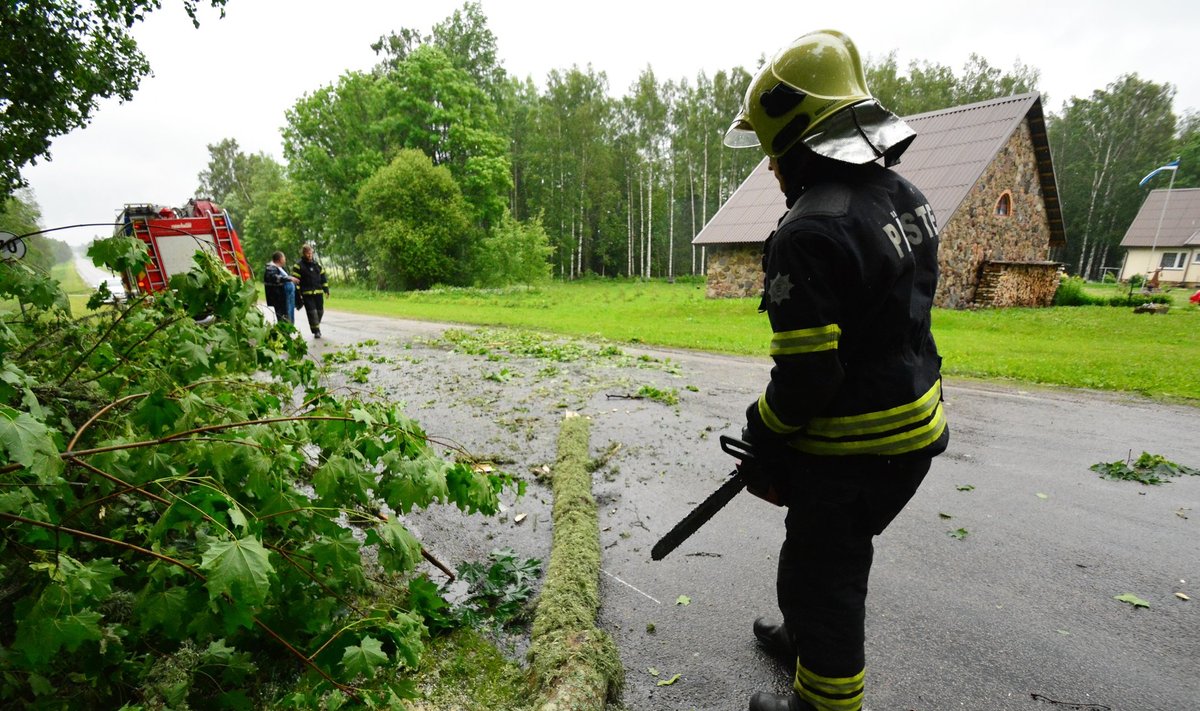 Viljandimaal Suure-Jaani vallas kukkus tugeva tuule tõttu puu teele