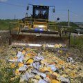 FOTOD ja VIDEO: Venemaal hävitati neljapäeval ligi 320 tonni sanktsioonide all olevaid toidukaupu