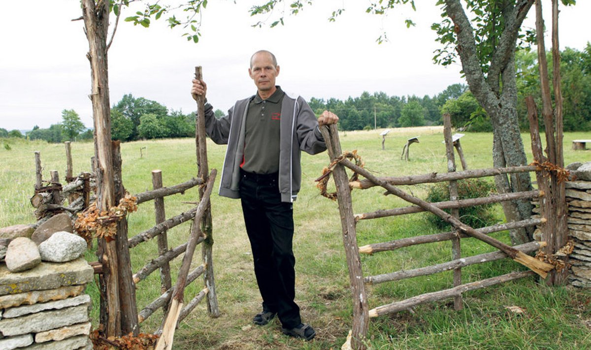 “Meie pere on villausku,“ teatab Väino Veersalu, kes on Iisaka talu kujundanud arhailises stiilis talupidamiseks. Lammaste karjakoplid on piiratud roigasaiaga ja pere kannab oma igapäevatöö ning tegemistega edasi pärandkultuuri.