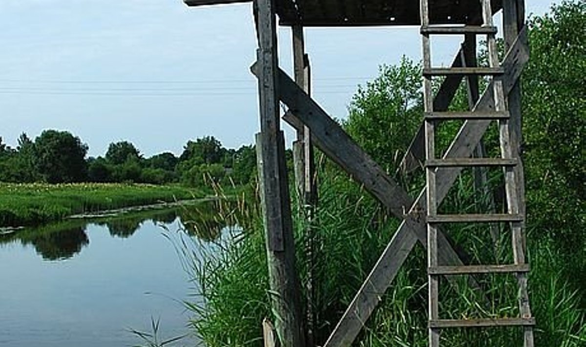 Isetehtud hüppetorn Prandi jõe kaldal, Säreveres.