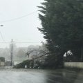 FOTOD ja VIDEO | Iirimaal möllanud torm Ophelia sulges kaupluseid ja koole