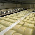 VIDEO: Kuidas Võru juust jõudis New Yorgi poodidesse
