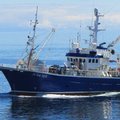 Ирландские рыбаки потеснили корабли ВМФ России