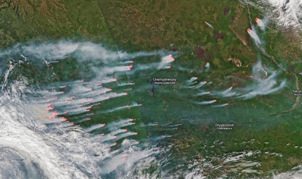 21. juuli satelliidivaade Krasnojarski kraid ja Jakuutiat laastavatele maastikupõlengutele. Pildi laius vastab umbes 1000 kilomeetrile.