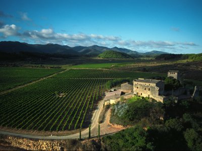 Hispaania hinnatuim veinipiirkond Penedès tegi läbimurde 1970. aastal, kui Torrese vein Mas La Plana võitis Pariisis veiniolümpia.