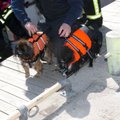 DELFI FOTOD: Päästjad tõid merelt ära kummipaadi kahe merehätta sattunud inimese ja nelja vettinud koeraga