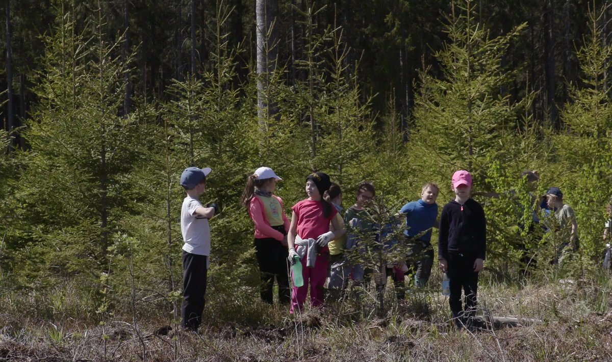 9-aastased - nii lapsed kui mets. Nende päralt on tulevik.