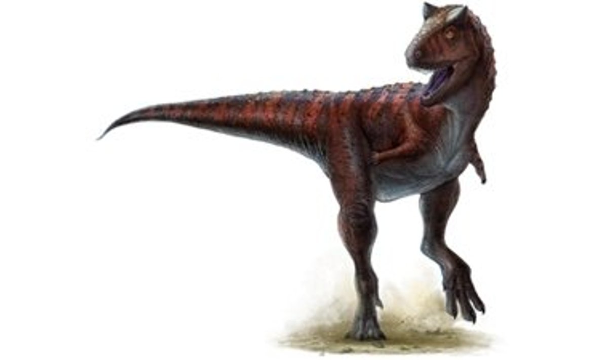 Carnotaurus oli oma ajastu kiireim kiskja. Pilt Lida Xing, Yi Liu.