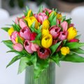 NIPID | Niimoodi toimides püsivad emadepäevaks saadud erinevad lilled eriti kaua ilusad