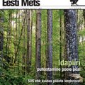 Eesti Metsa suvenumber: igale metsahuvilisele midagi