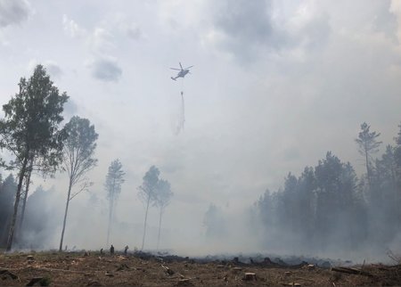 Vikipalus põleb 150 ha metsa