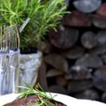 RETSEPT: grillitud portobellod küüslaugu ja rosmariiniga