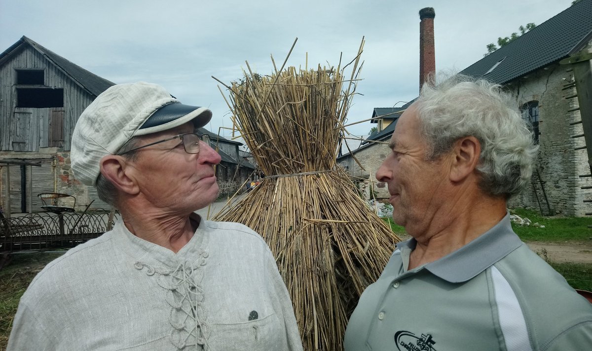 Kaks kanget Eesti meest, vennad Kalju (vasakul) ja Heino Laiapea. Kalju on aastakümnete jooksul üle Eesti vanu taluriistu kokku otsinud, et need nüüd oma muuseumis välja panna.