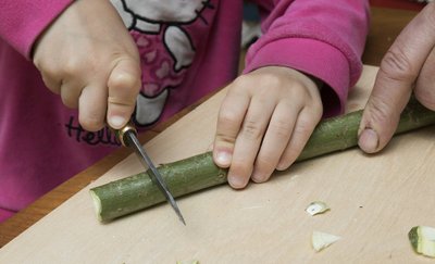 Lõigake umbes 5 cm huulikust altpoolt puukoor ümberringi läbi. Koputage koor noapeaga lahti.