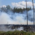 Ida-Virumaal põleb 11 hektarit metsaalust maastikku