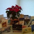 FOTOD: Vaata, milliseid jõulukaarte said Jüri Ratas ja Ene Ergma