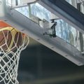 Eesti U18 neidude korvpallikoondis alustas kõrgseltskonnas suureskoorilise kaotusega