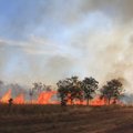 FOTOD: Austraalia tihedaima asustusega osariigis põleb 40 000 hektarit maad
