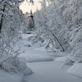 Soome Lapimaal registreeriti külmanäit -43,1 kraadi