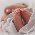Sündis esimene laps, kellele tehti Eestis embrüo kromosoomanalüüs