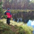 Sõltumatud mõõtmistulemused: milline kõneoperaator pakub Eesti metsades kõige paremat levi?