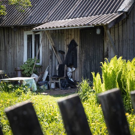Õuduste maja Tartumaal. Surnud kassid pragisesid jala all, vanainimene nende keskel...