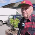 DELFI VIDEO | Mees on langenud täielikku pessimismi: ideest istutada üks tamm sai 15 000 ja enam pole neist võimalik kuidagi vabaneda