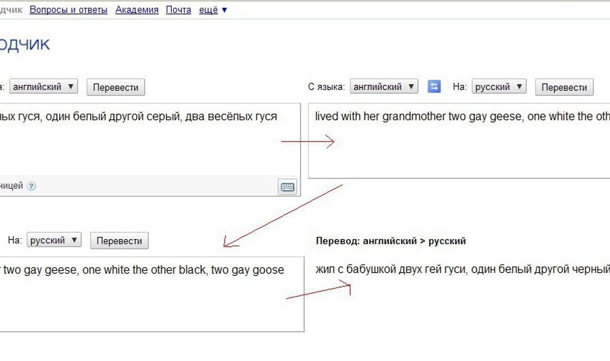 Читатель Delfi: переводчик Google сделал из веселых гусей геев - Delfi RUS