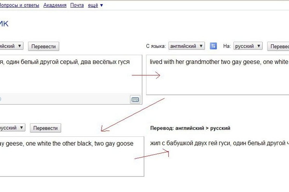 Читатель Delfi: переводчик Google сделал из веселых гусей геев - Delfi RUS