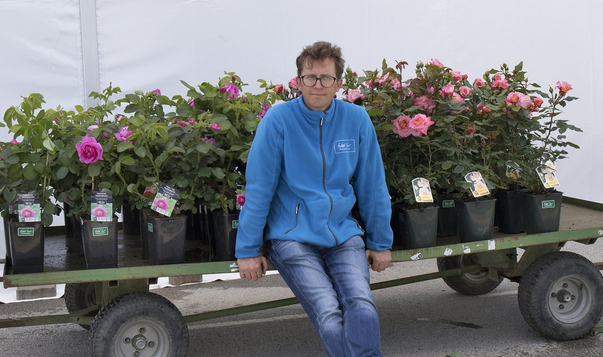 "Aianduses on väga oluline emotsioon, mida me lillede ilust saame," teatab Hansaplanti tootmisjuht Mihkel Saar oma istikute keskel.
